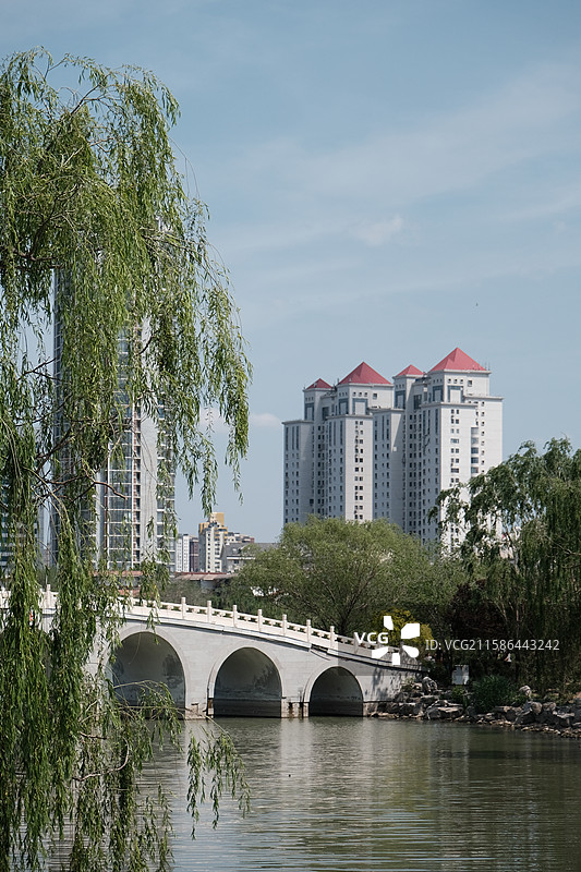 天津动物园，动物园中的动物特写镜头图片素材