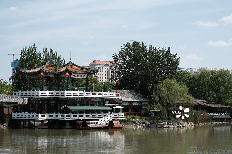 天津动物园，动物园中的动物特写镜头图片素材