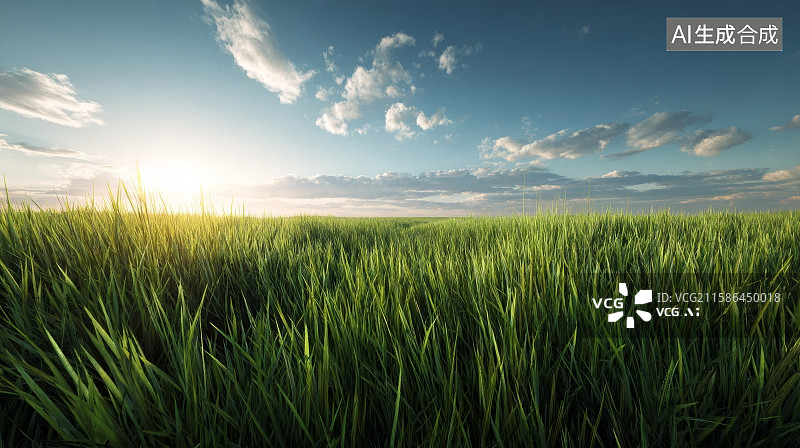【AI数字艺术】麦浪，绿色概念麦田，大麦，小麦图片素材
