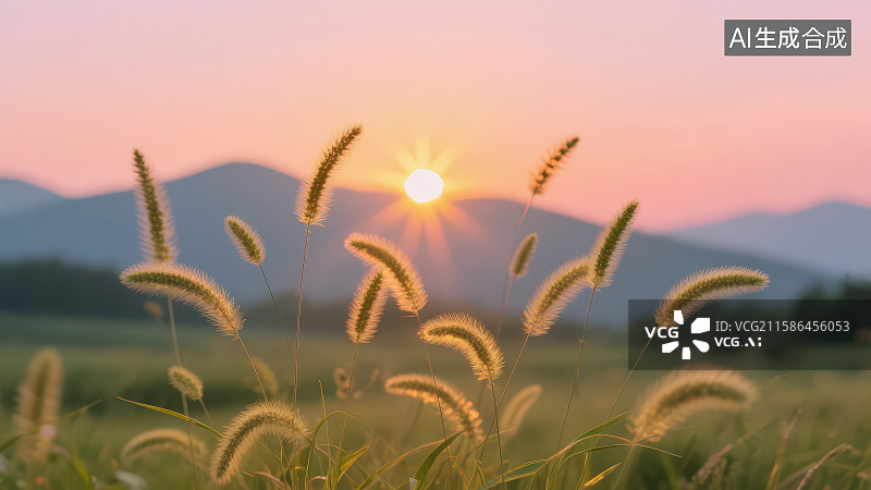 【AI数字艺术】夕阳下的狗尾巴草图片素材