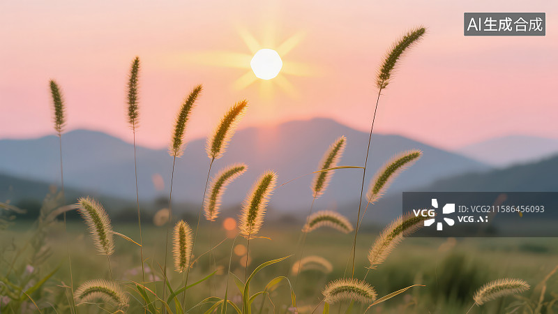 【AI数字艺术】夕阳下的狗尾巴草图片素材