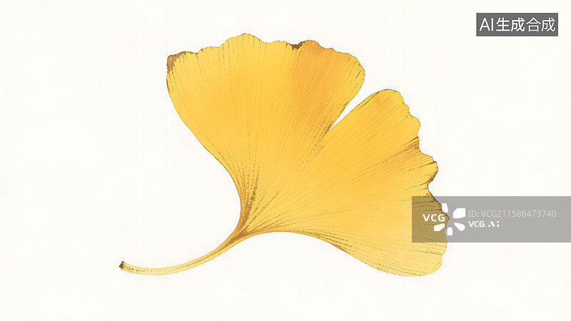 【AI数字艺术】一片黄色银杏叶在白色背景上展示其独特的扇形轮廓和纹理图片素材