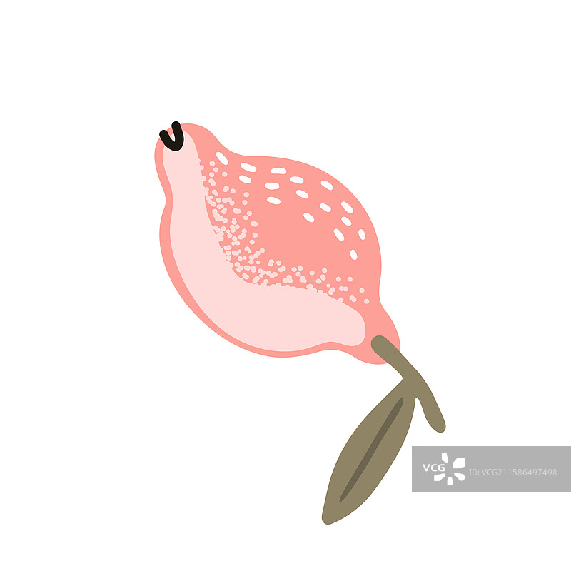 柔和粉色的抽象柠檬图片素材