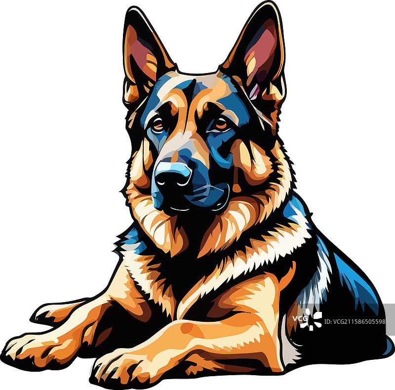 德国牧羊犬躺着放松图片素材