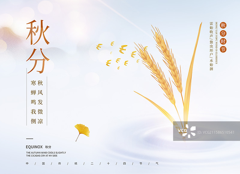 中国风二十四节气插画海报模版-秋天-秋分 黄色稻穗植物小清新插画 水波纹上长着金黄的麦穗 丰收 横版图片素材