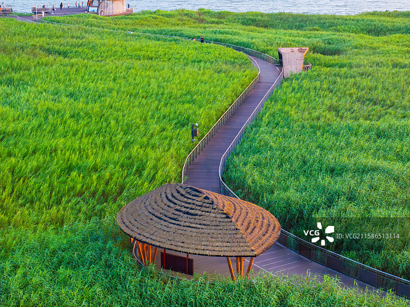 上海崇明岛西沙明珠景区西沙湿地生态图片素材