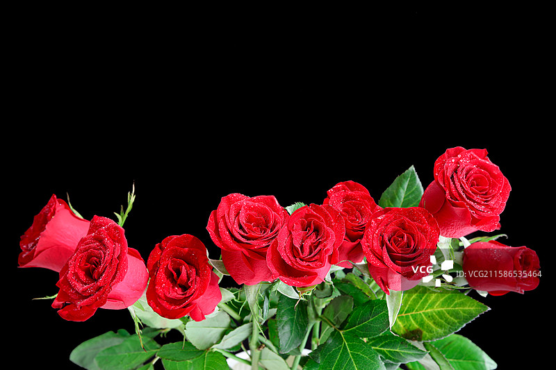 黑色背景上的一簇七夕节情人节红色鲜花玫瑰花图片素材