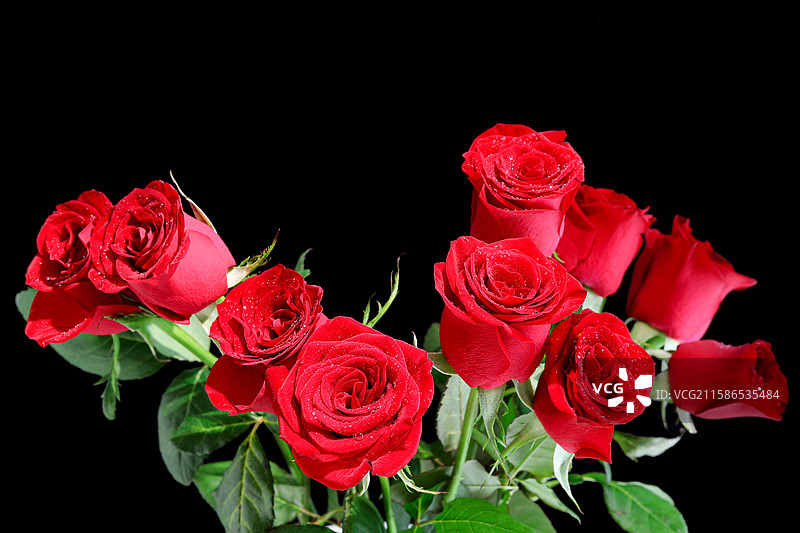 黑色背景上的一簇七夕节情人节红色鲜花玫瑰花图片素材