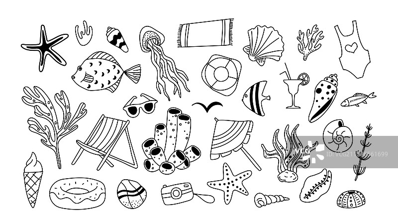 热带海洋生物旅行配件图片素材