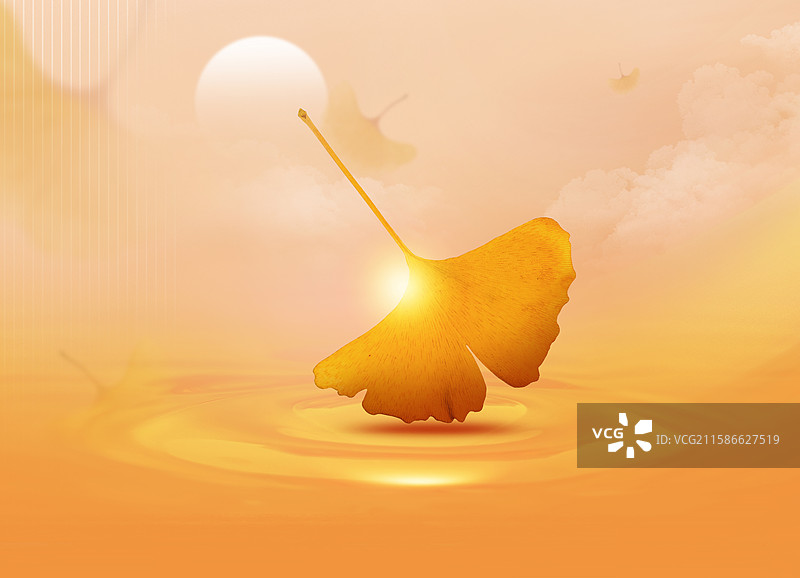 弥散风二十四节气系列插画-秋天-秋分 黄色银杏叶植物小清新插画 运动模糊背景 横版图片素材