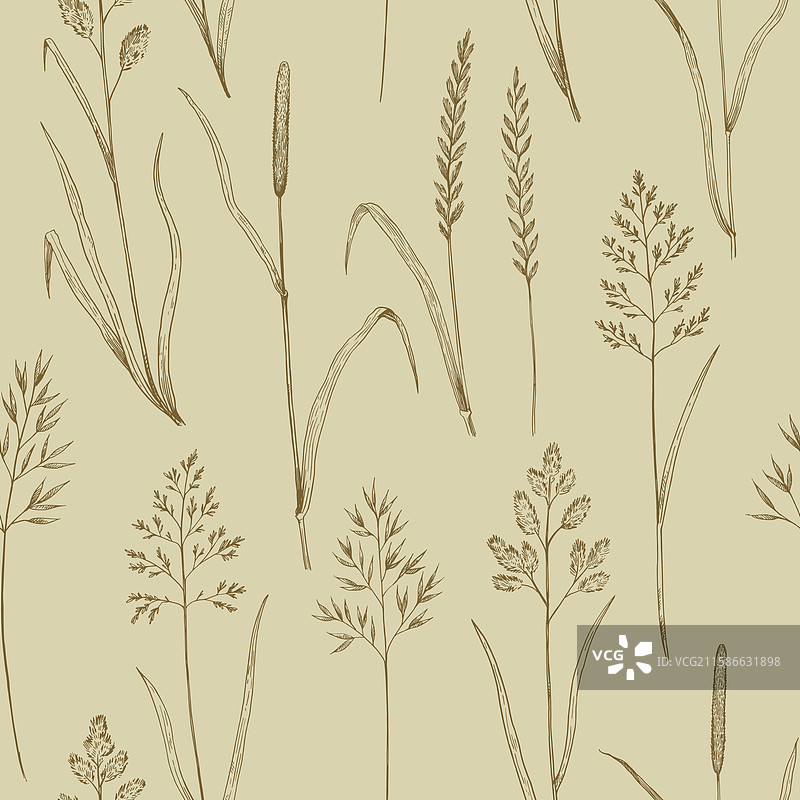 无缝图案与草地草的墨水画图片素材