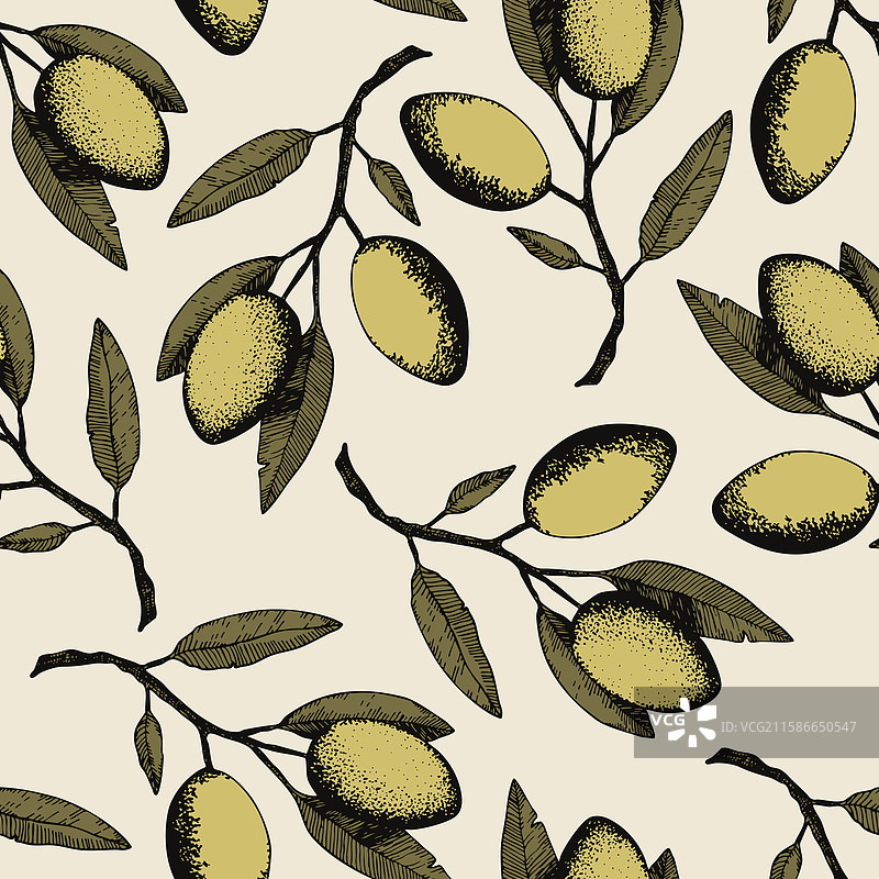 手绘橄榄枝无缝图案图片素材