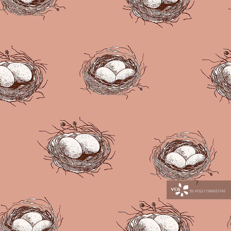 春季无缝图案，鸟巢里有蛋图片素材