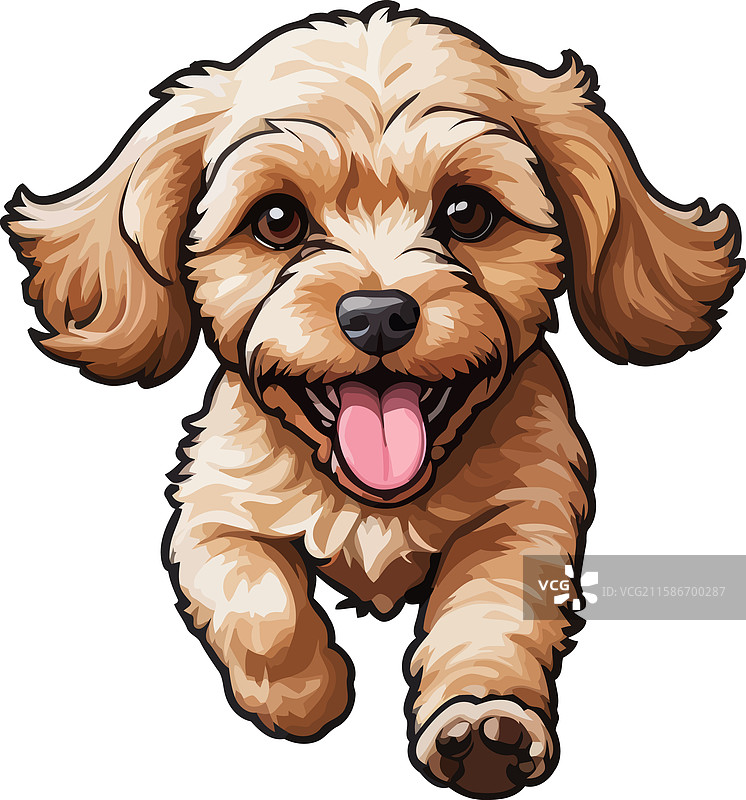 手绘的杏色可卡犬可爱狗狗插图图片素材