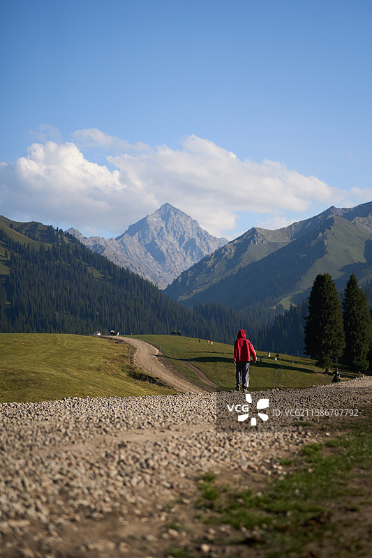 新疆库尔德宁雪山森林草原小瑞士图片素材
