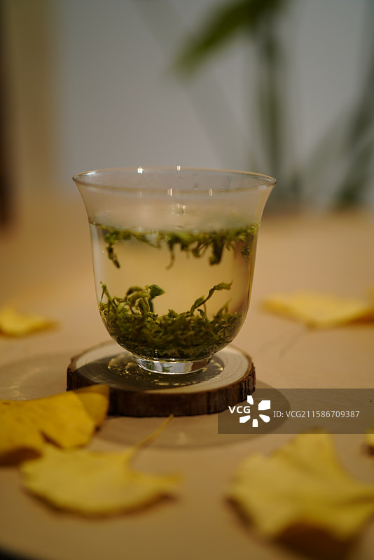 绿茶浸泡过程特写图片素材