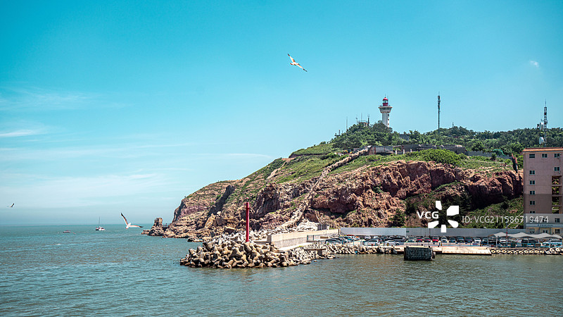 蓬莱 蓬长码头 海鸥图片素材