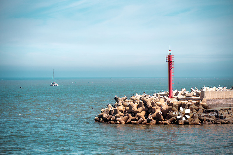 蓬莱 蓬长码头 海鸥图片素材