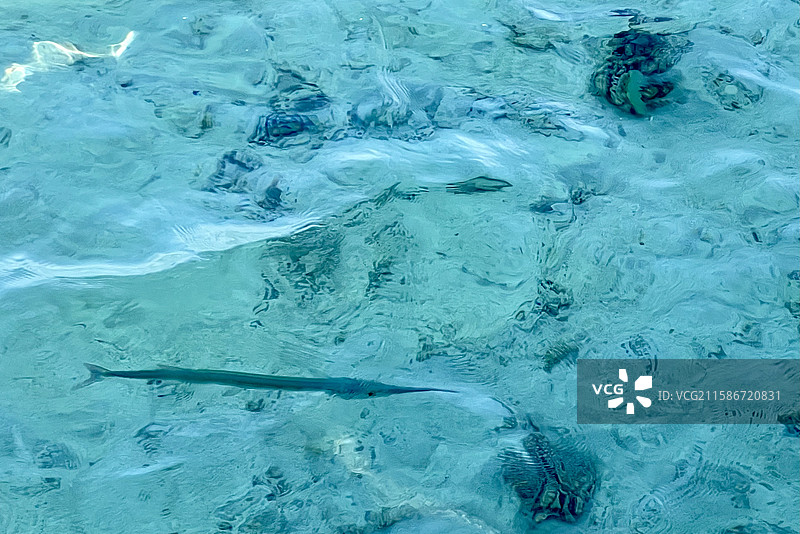 埃及赫尔格达 索马湾 红海海岸线 浪漫海边度假区 度假栈桥 玻璃海 广角壁纸图片素材