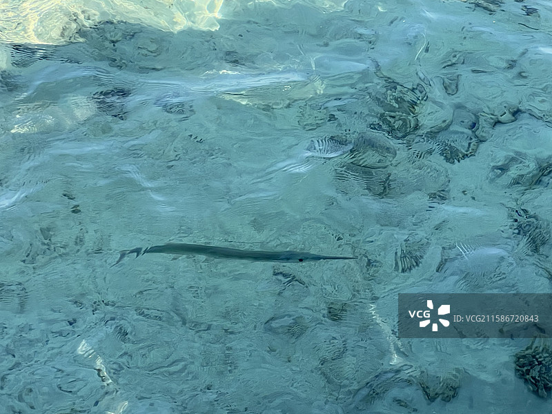 埃及赫尔格达 索马湾 红海海岸线 浪漫海边度假区 度假栈桥 玻璃海 广角壁纸图片素材