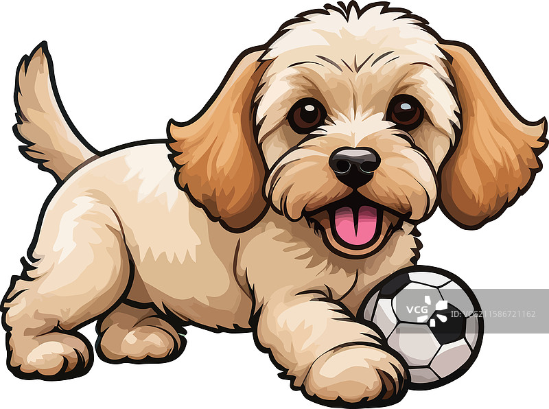 手绘数字化的杏色可卡犬肖像图片素材