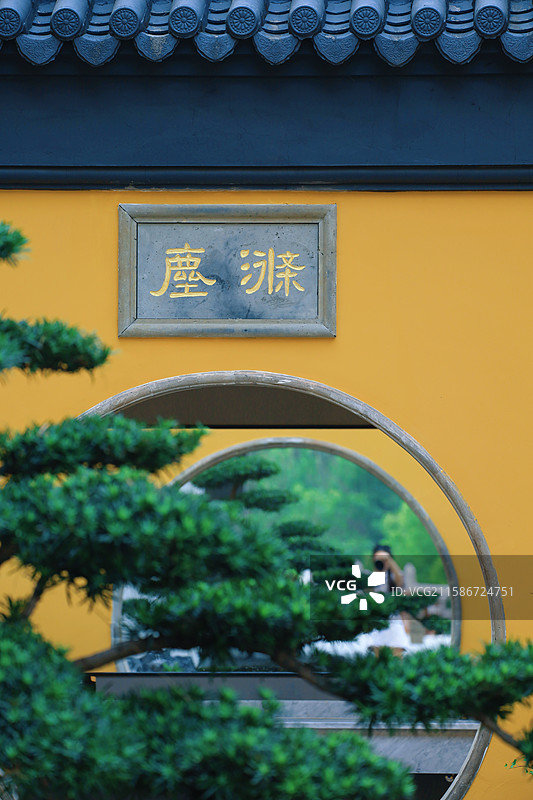 江南苏州常熟三峰清凉禅寺百年楸树图片素材