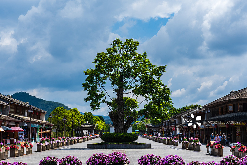 中国云南腾冲市和顺村一棵树风光图片素材