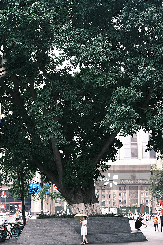 四川成都博物馆文物馆藏-成都建筑风光拍摄图片素材