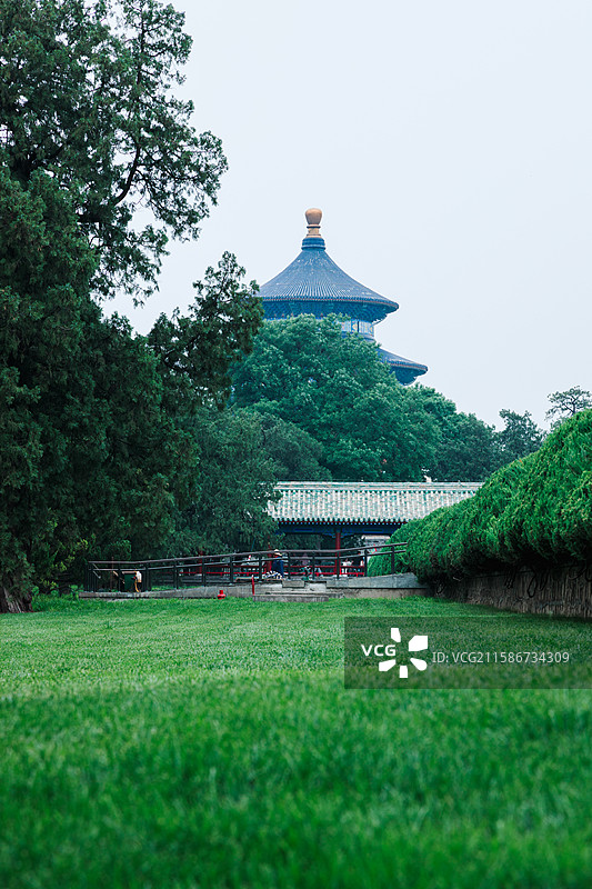 天坛夏季雨天的绿意盎然图片素材