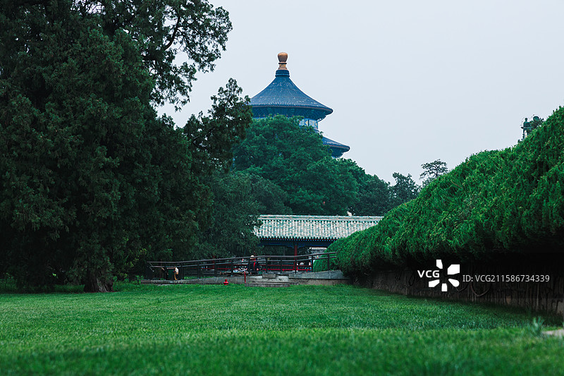 天坛夏季雨天的绿意盎然图片素材