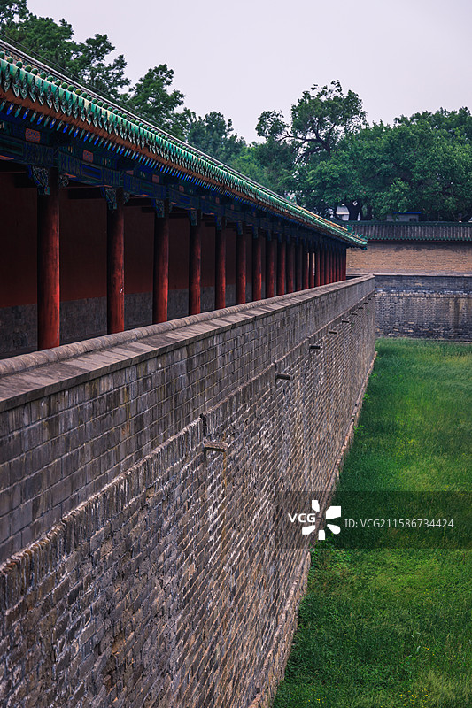 天坛夏季雨天的绿意盎然图片素材