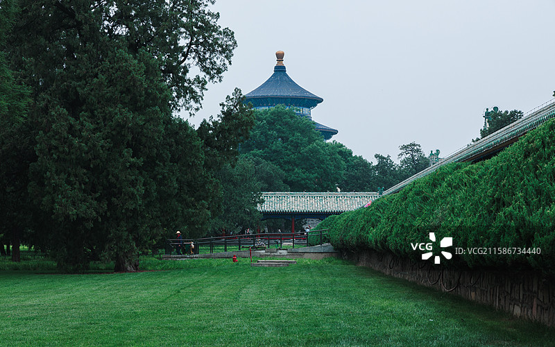 天坛夏季雨天的绿意盎然图片素材