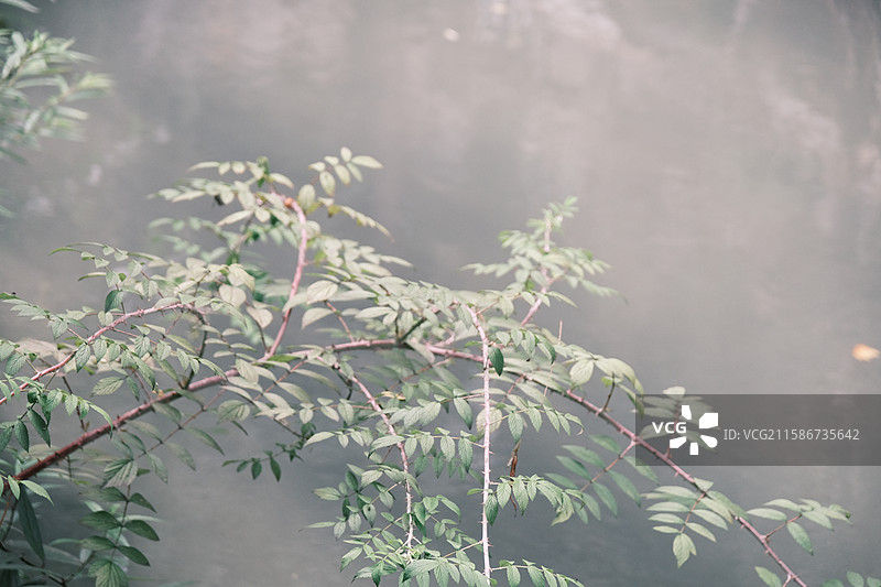 四川成都都江堰街景-建筑风光图片素材