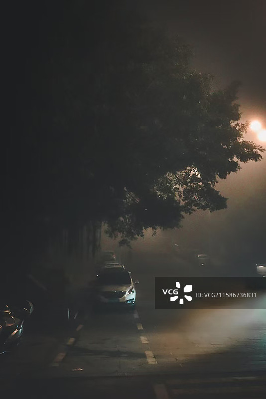 光留不住，雾总要散图片素材