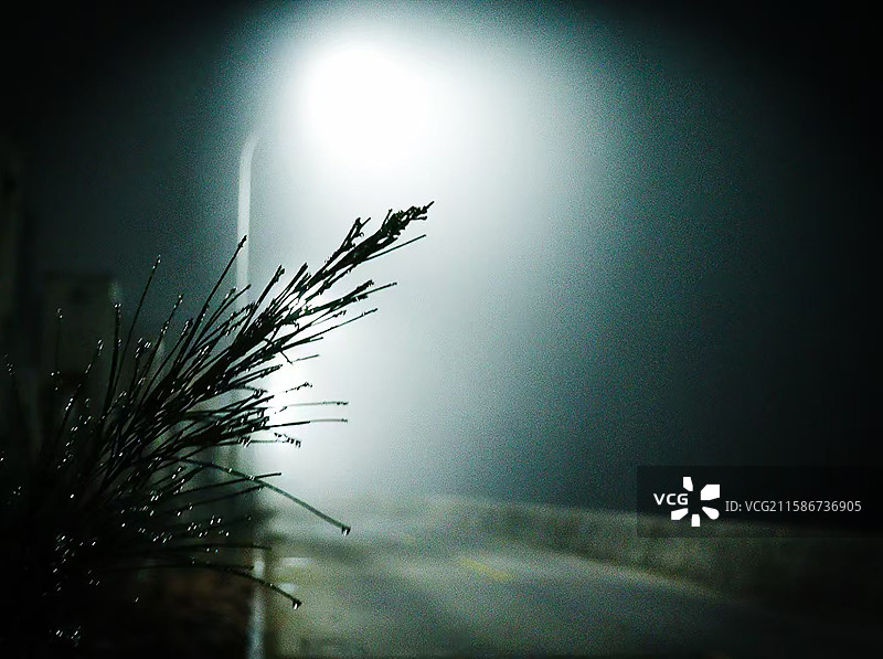 光留不住，雾总要散图片素材