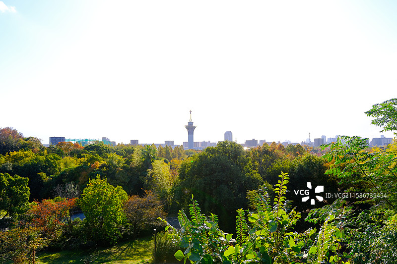 大阪的万博纪念公园图片素材