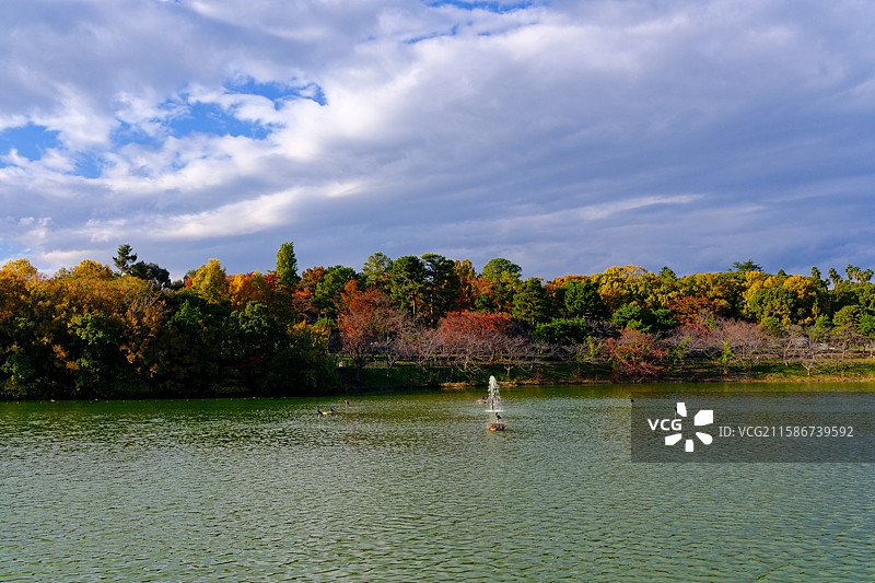 大阪的万博纪念公园图片素材