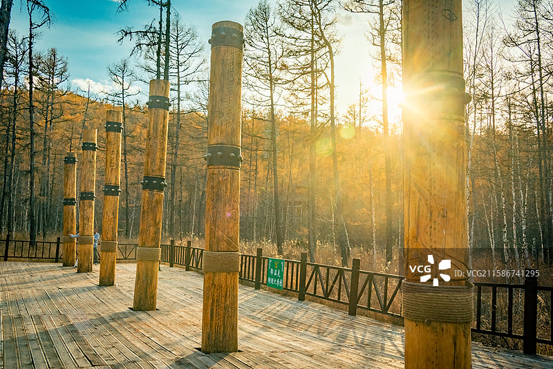 莫尔道嘎森林公园秋日森林，木制观景平台上绑绳木柱少数民族图腾柱，金黄秋色阳光暖。图片素材