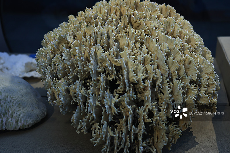 宁波帮博物馆图片素材