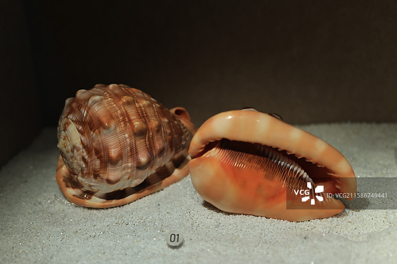 宁波帮博物馆图片素材