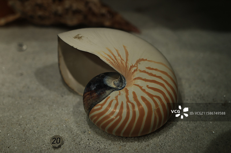 宁波帮博物馆图片素材