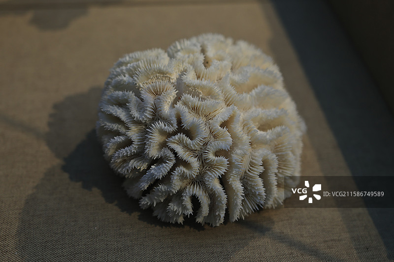 宁波帮博物馆图片素材