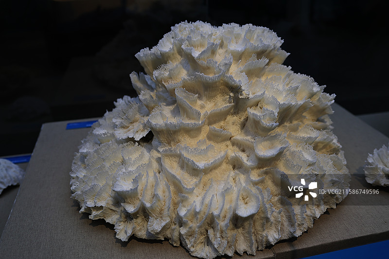 宁波帮博物馆图片素材