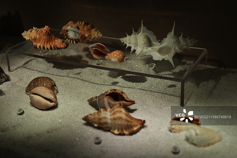 宁波帮博物馆图片素材