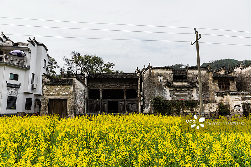 婺源晓起村图片素材