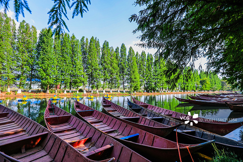 大清河 水乡泽国的静谧时光图片素材