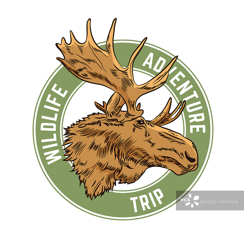 驼鹿头标志设计图片素材