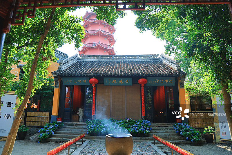 江南无锡5A景区惠山古镇锡惠名胜区龙光寺绣球花紫阳花图片素材