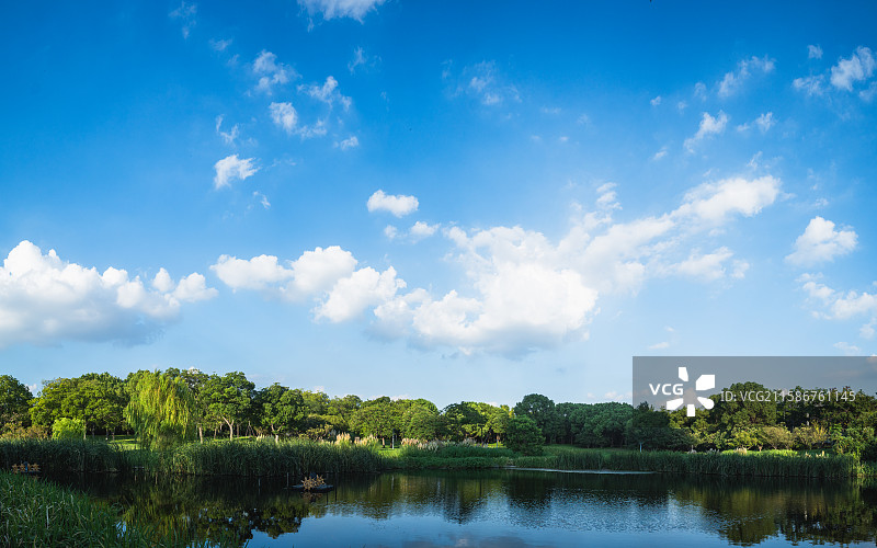 夏日金城湾公园图片素材