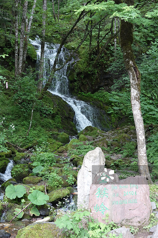 湖北省神农架林区金猴岭金猴飞瀑图片素材